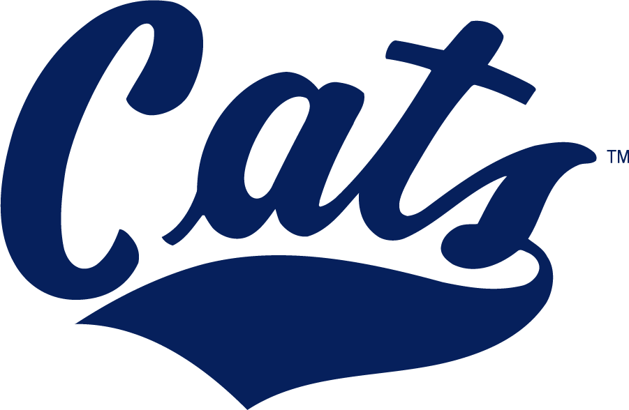 Montana State Bobcats 2013-Pres Wordmark Logo v2 diy DTF decal sticker